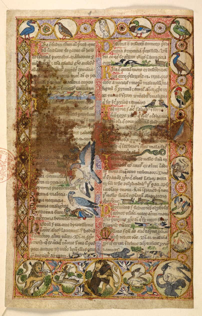 Add. 28841, f.1, Geometrische paginagrote randen van ruiten, rondellen en vierpassen bewoond door dieren en figuratieve scènes: Vogels, reptielen en dieren, waaronder leeuwen die andere wezens aanvallen en vogels die elkaar bevechten, een haan, een uil, ee door Master of the Cocharelli Codex