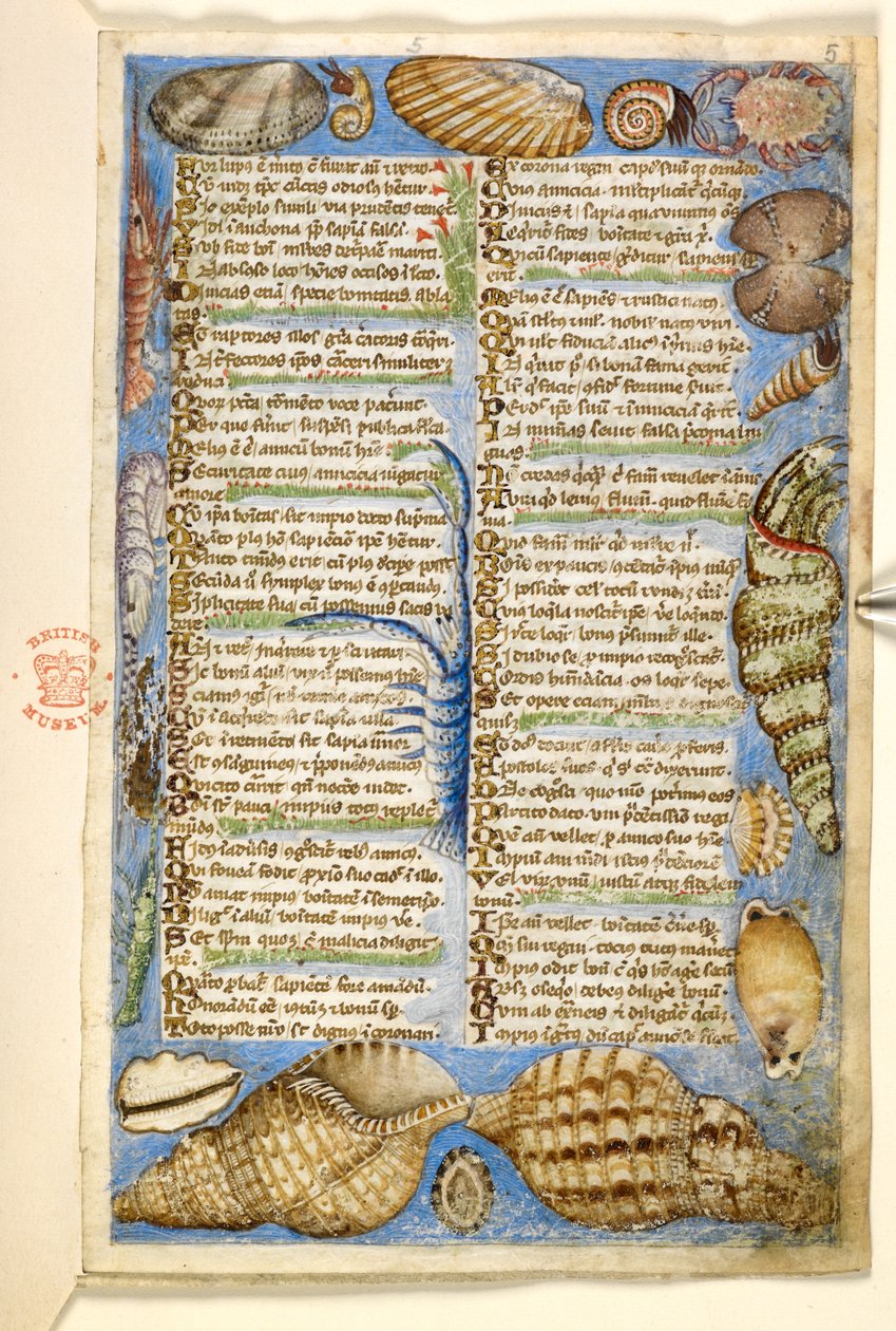 Add. 28841, f.5: Schelpen en zeedier, uit een Verhandeling over de Deugden en Ondeugden, en een anonieme prozageschiedenis van Sicilië (fragment), c.1330-40 door Master of the Cocharelli Codex