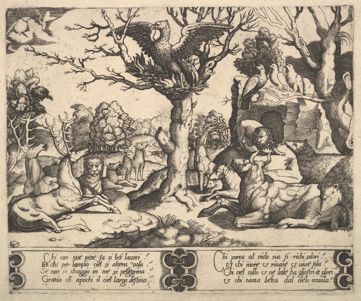 Een feniks zat bovenop een boom, vleugels open, een verscheidenheid aan dieren eronder, 1530-60 door Master of the Die