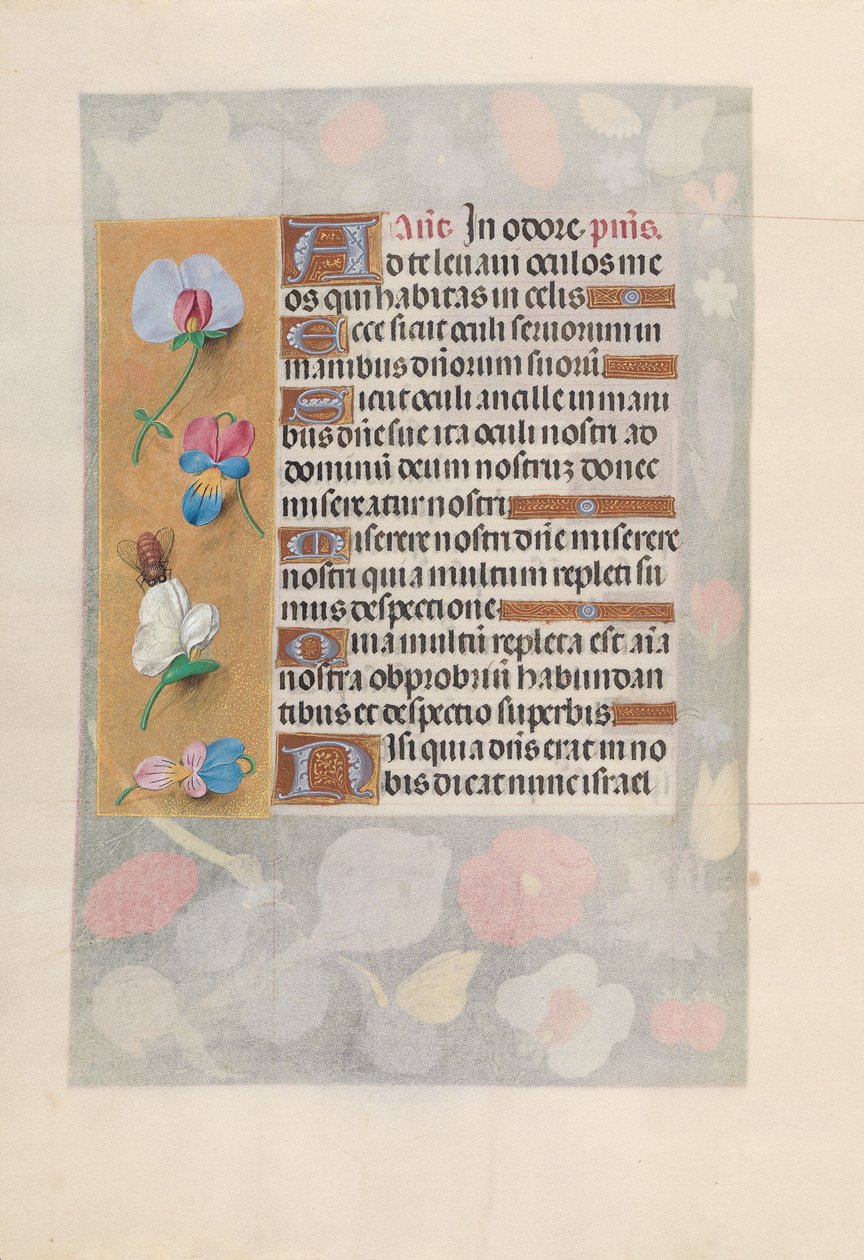 Getijdenboek van koningin Isabella de Katholieke, koningin van Spanje: Fol. 137v door Master of the First Prayerbook of Maximillian