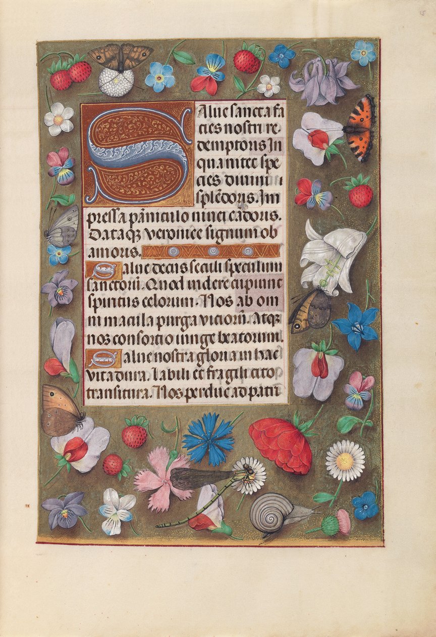 Getijdenboek van koningin Isabella de Katholieke, koningin van Spanje: Fol. 15r, c. 1500 door Master of the First Prayerbook of Maximillian