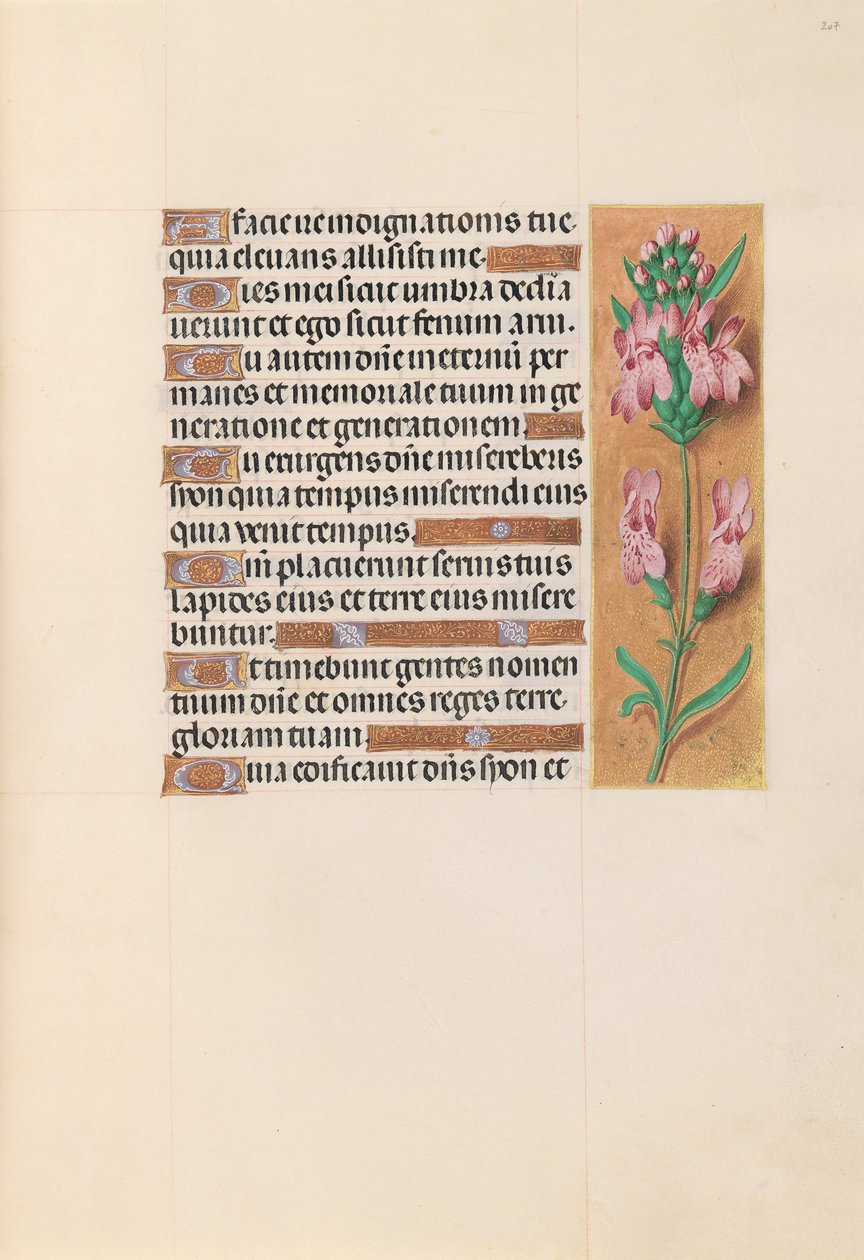 Uren van Koningin Isabella de Katholieke, Koningin van Spanje: Fol. 207r, ca. 1500 door Master of the First Prayerbook of Maximillian