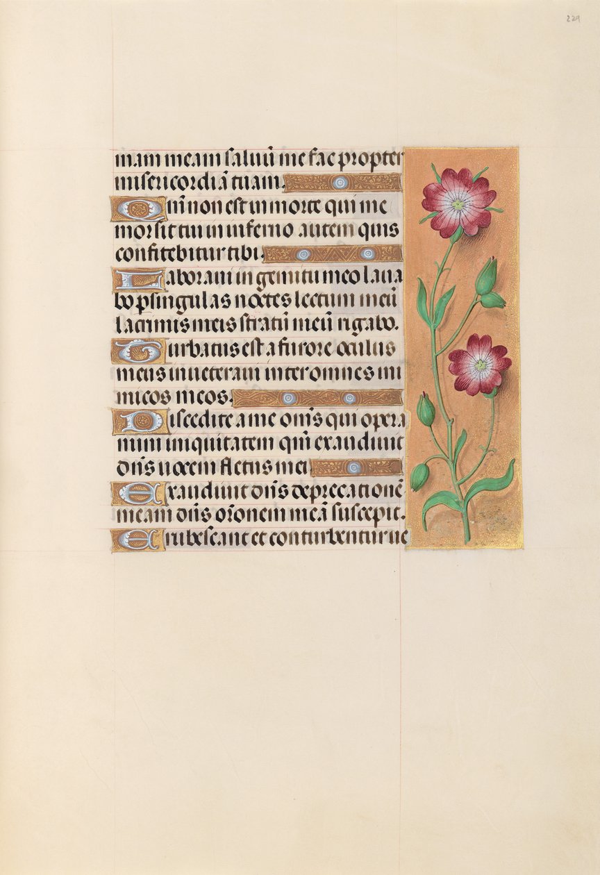 Getijdenboek van koningin Isabella de Katholieke, koningin van Spanje: Fol. 229r, ca. 1500 door Master of the First Prayerbook of Maximillian