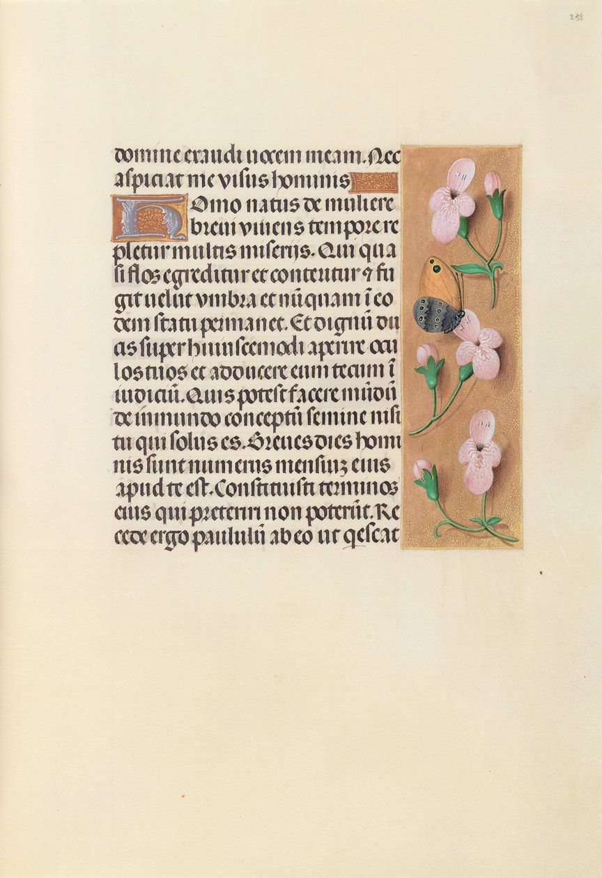 Getijdenboek van Koningin Isabella de Katholieke, Koningin van Spanje: Fol. 238r door Master of the First Prayerbook of Maximillian