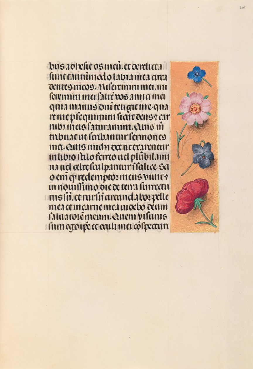 Getijdenboek van koningin Isabella de Katholieke, koningin van Spanje: Fol. 245r, ca. 1500 door Master of the First Prayerbook of Maximillian
