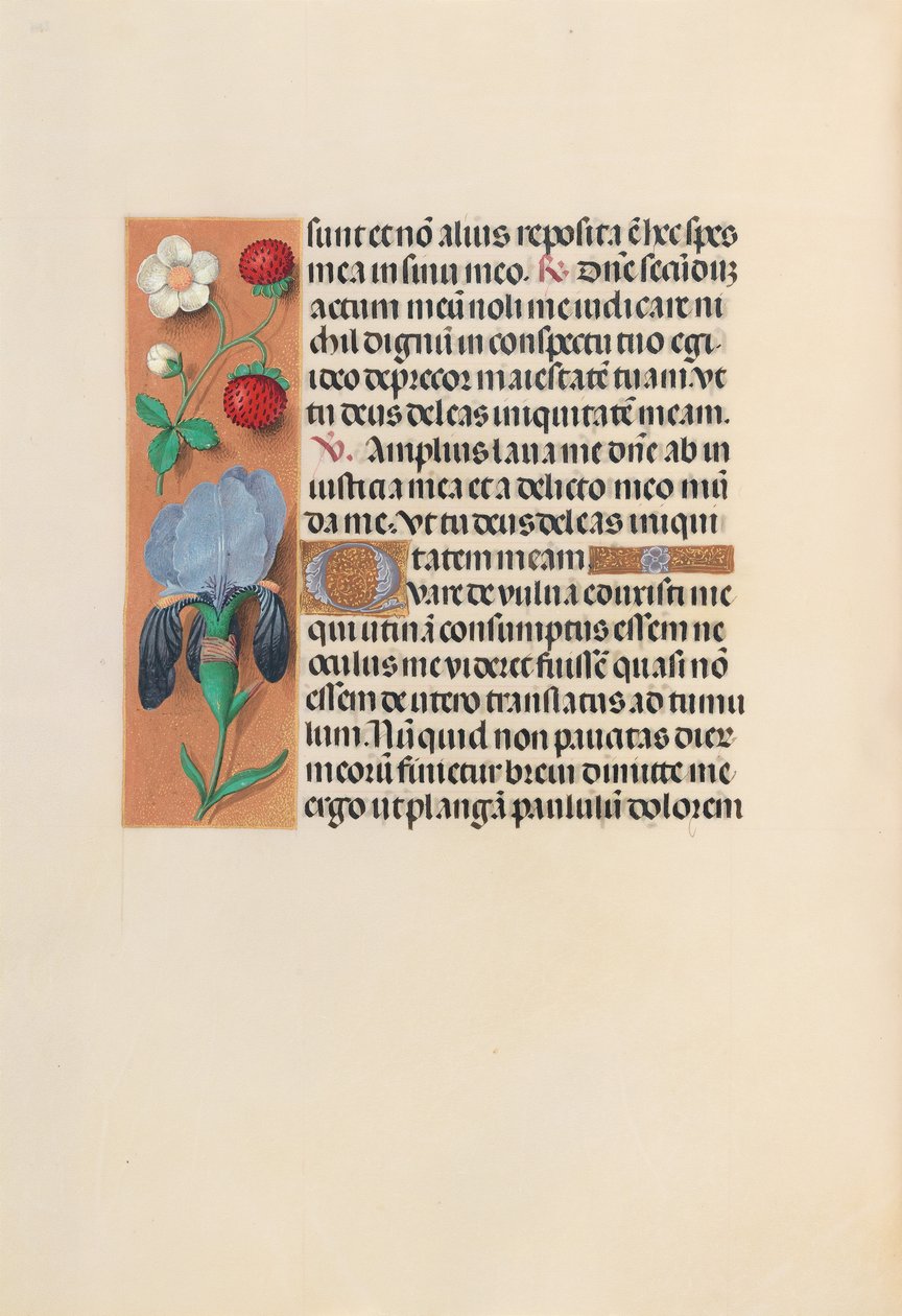 Uren van Koningin Isabella de Katholieke, Koningin van Spanje: Fol. 245v, ca. 1500 door Master of the First Prayerbook of Maximillian