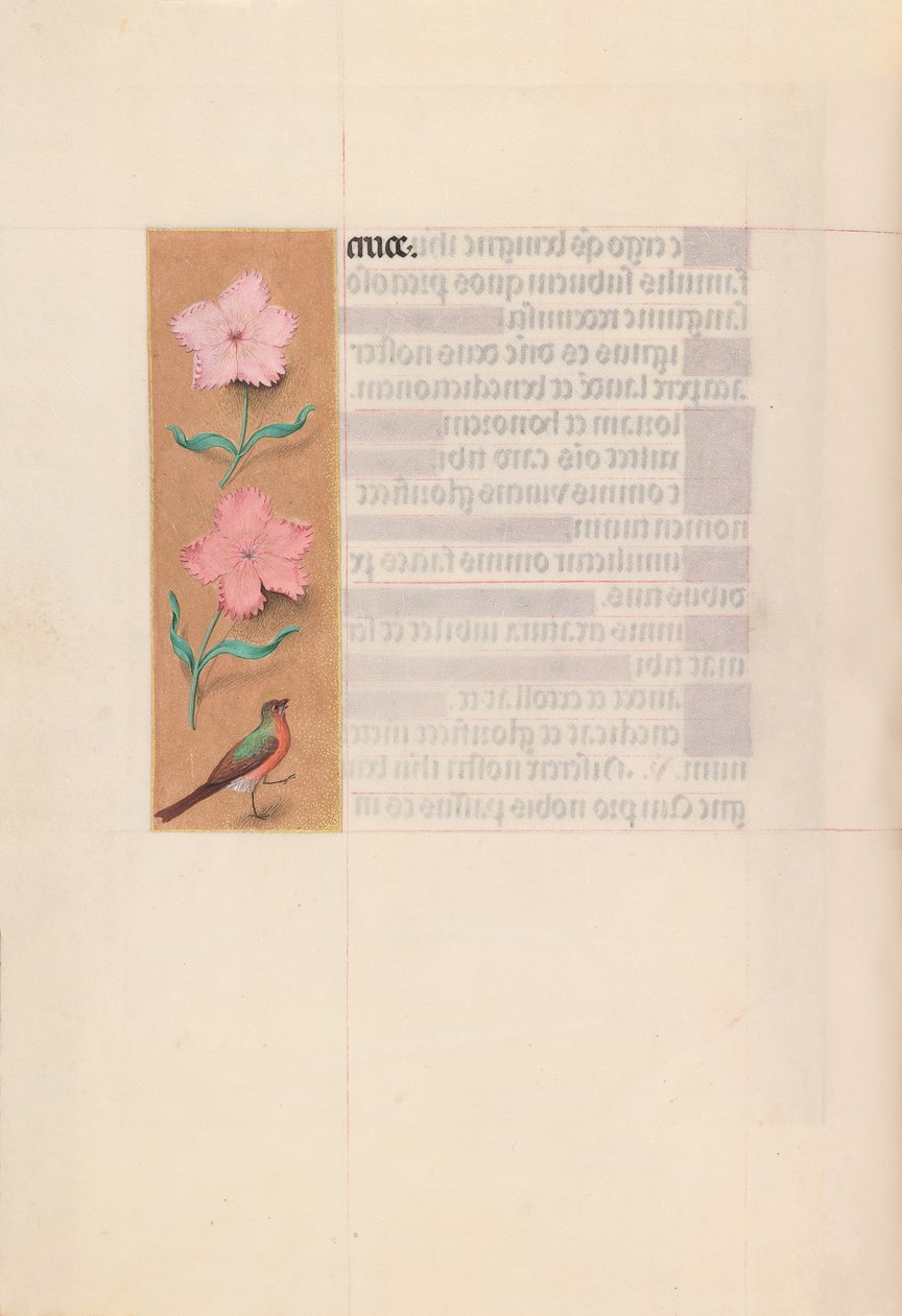 Getijdenboek van koningin Isabella de Katholieke, koningin van Spanje: Fol. 56v door Master of the First Prayerbook of Maximillian