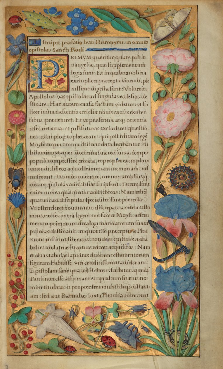 Versierde tekstpagina door Master of the Getty Epistles