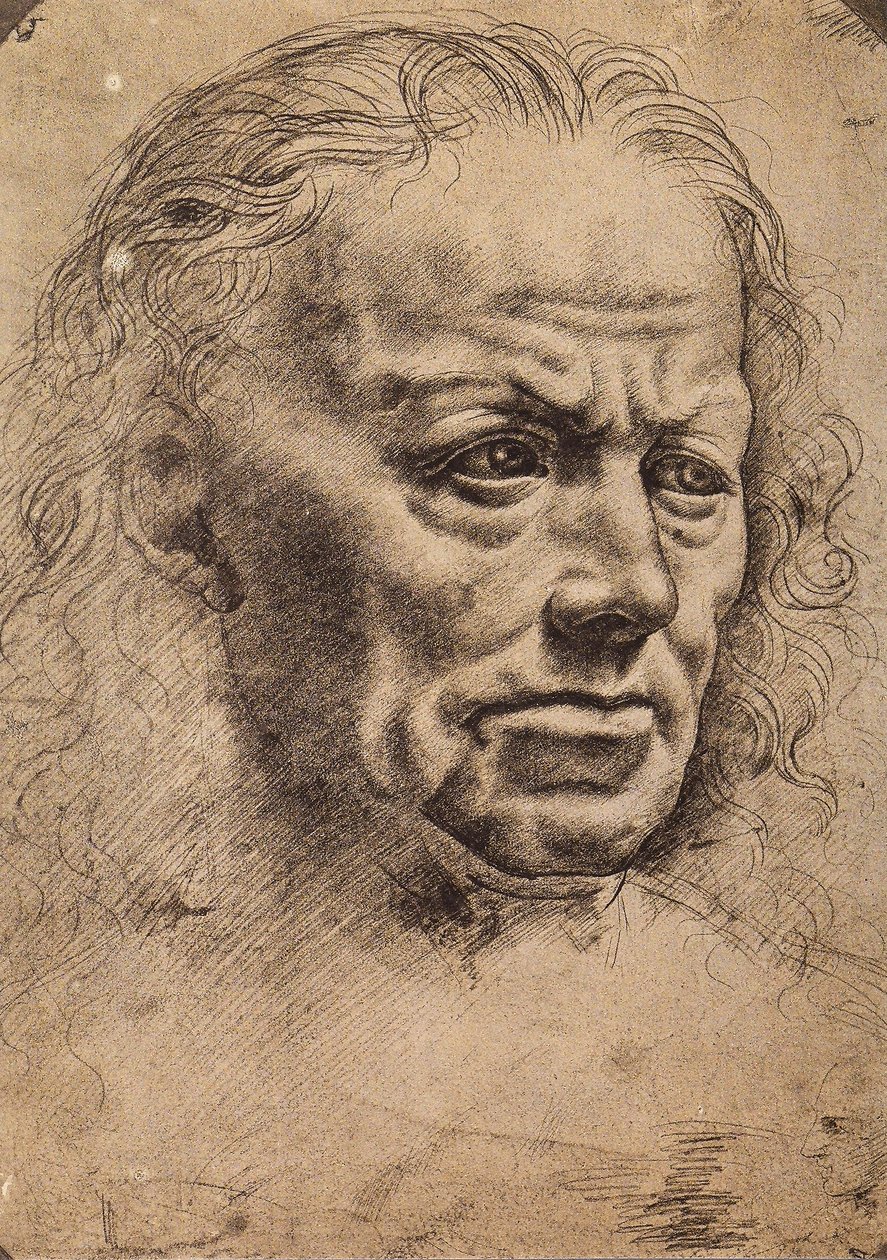 Hoofd van een man door Master of the Pala Sforzesca