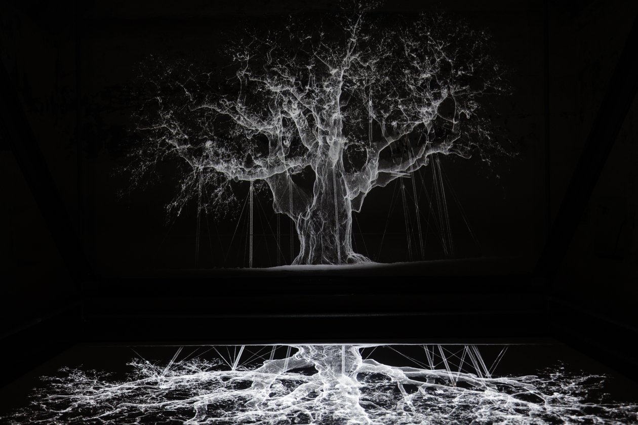 Albion, 2017 (Projector, mediaspeler, steiger, transparante film, hout, verf, spiegel, spanaccessoires) door Mat Collishaw