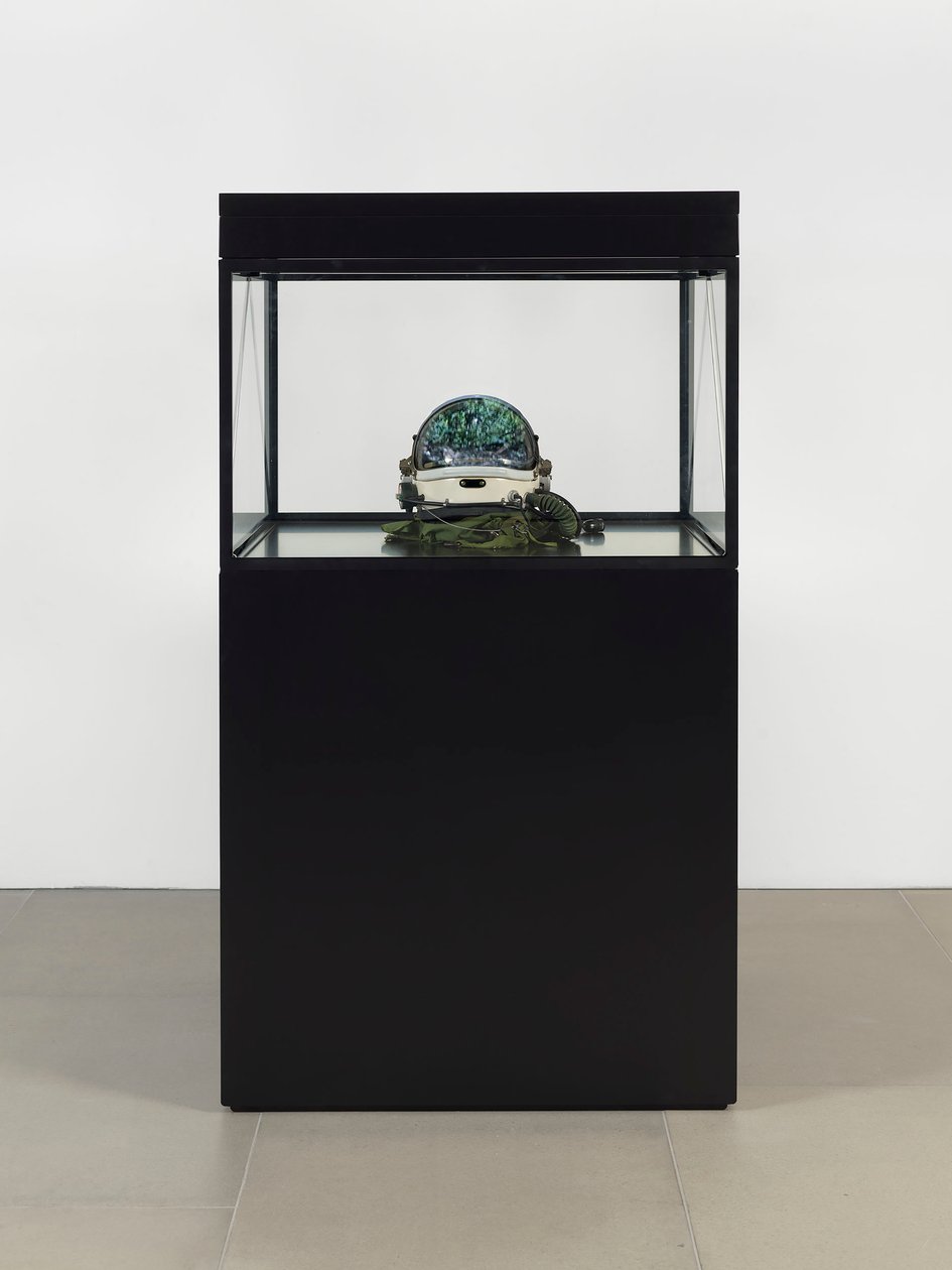 Alpha Omega, 2016 (Glas, LCD-scherm, mediaspeler, replica schedel, ruimtehelm, hout) door Mat Collishaw