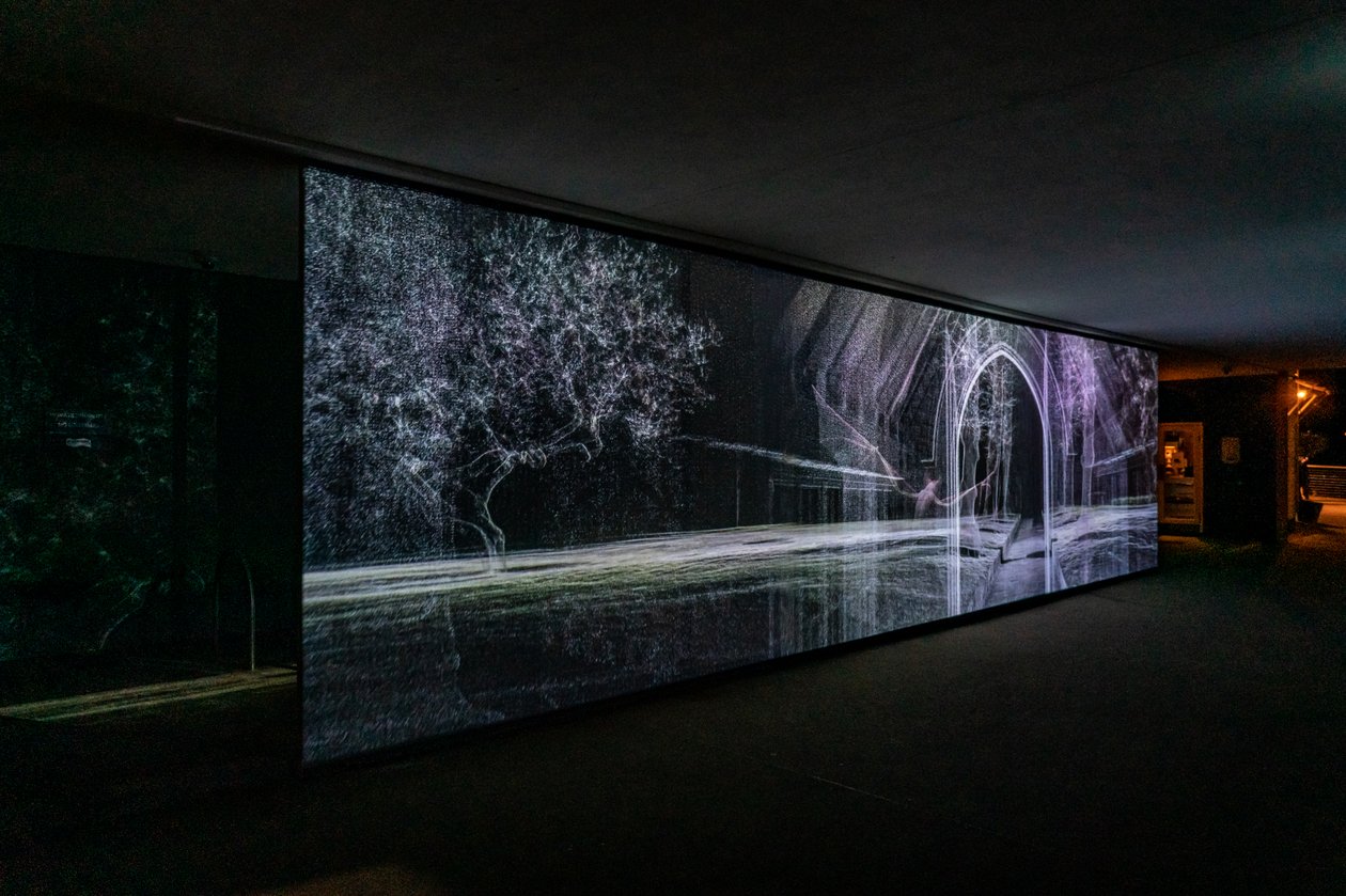 Echolocatie, 2021 (3-kanaals videoprojectie op polypropyleen gaas) door Mat Collishaw
