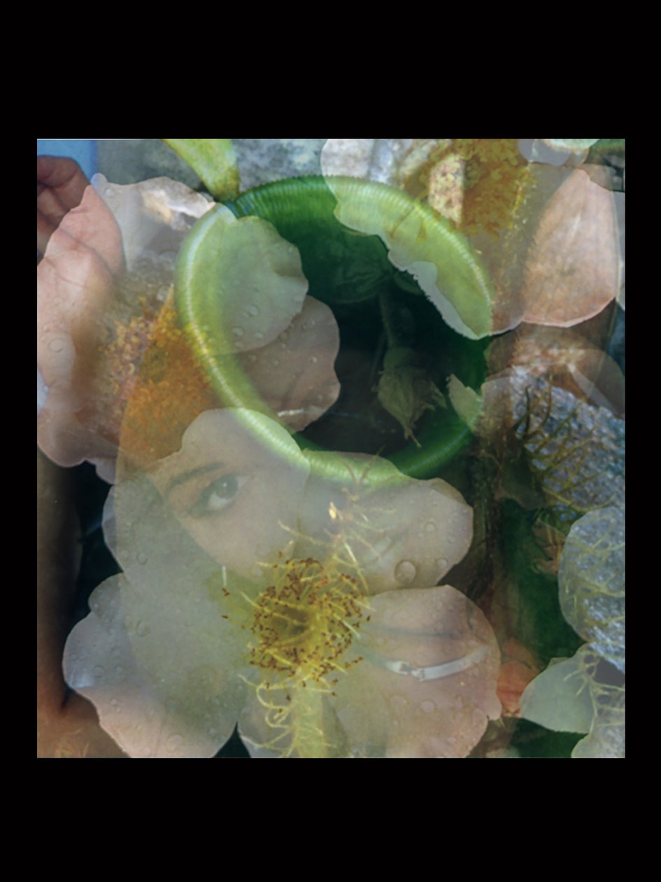 Vleesvreters 2 door Mat Collishaw