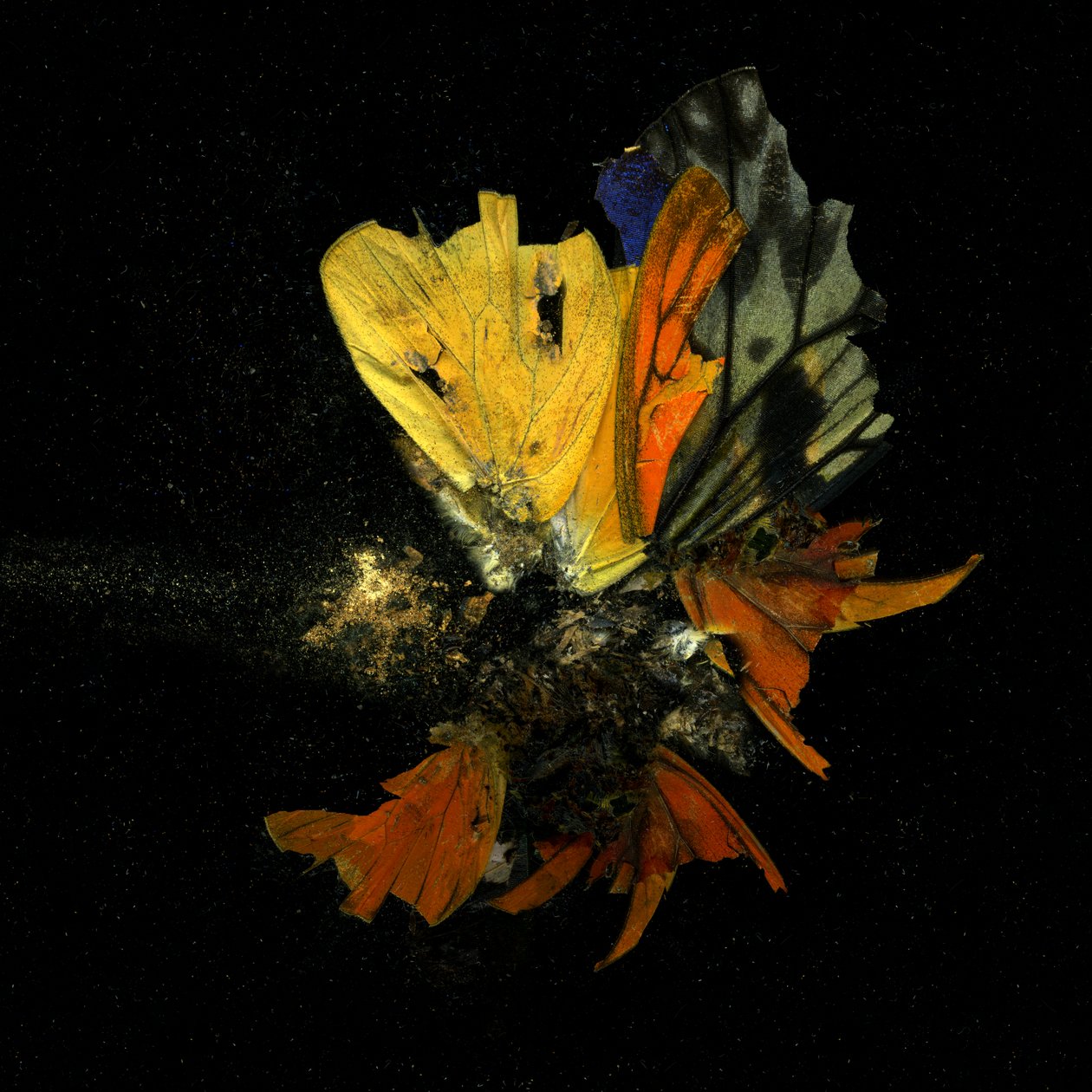 Insecticide 13, 2009 (C-type foto) door Mat Collishaw