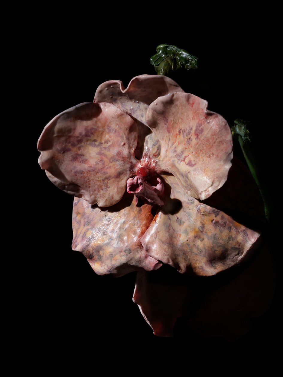 Venal Muse, Impetus, 2012 (Hars, emailverf, hout, glas, staal) door Mat Collishaw