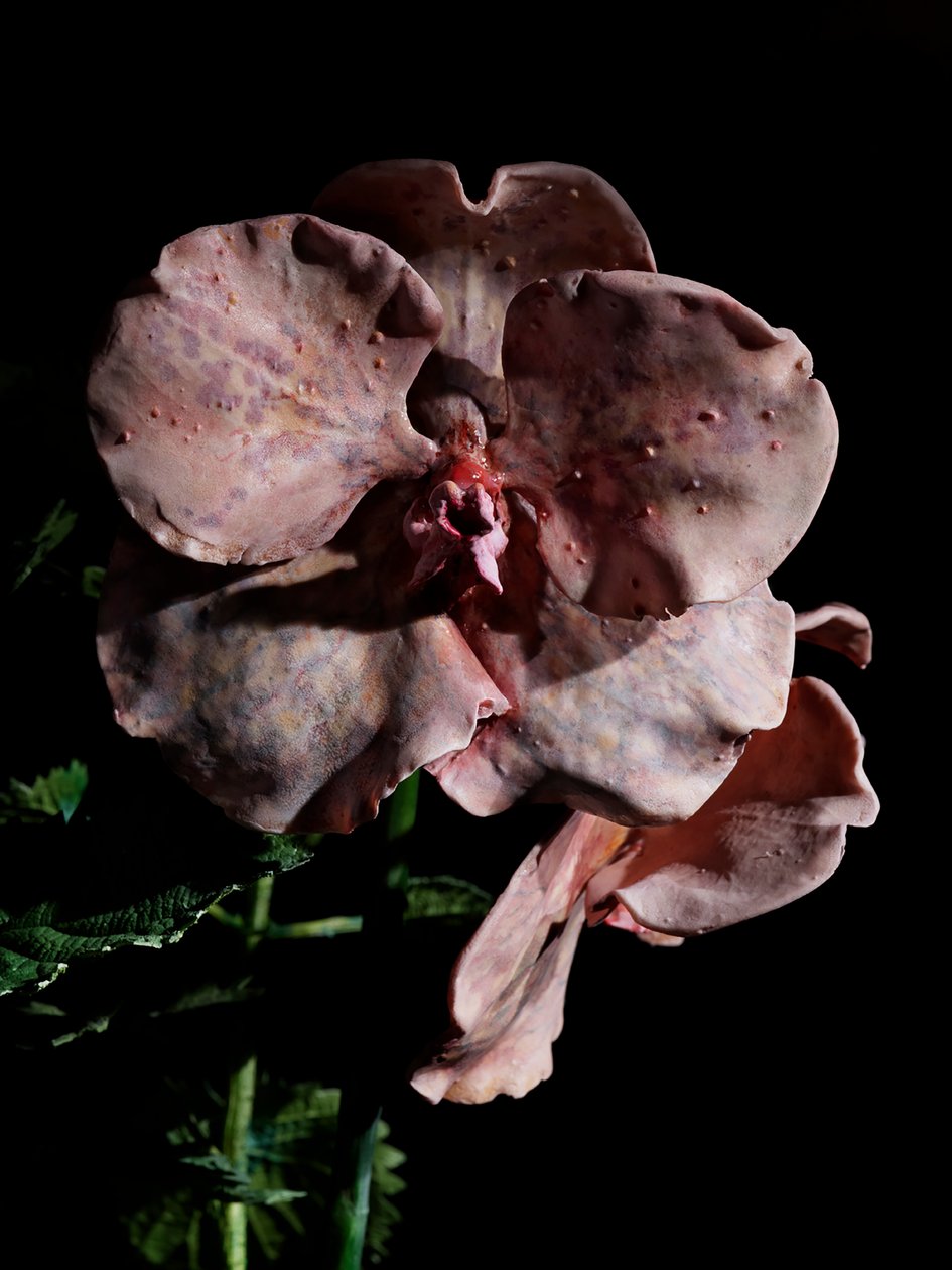 Venal Muse, Impetus, 2012 (Hars, emailverf, hout, glas, staal) door Mat Collishaw