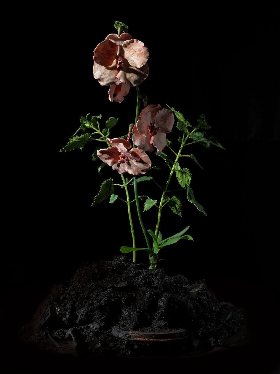 Venal Muse, Impetus, 2012 (Hars, emailverf, hout, glas, staal) door Mat Collishaw