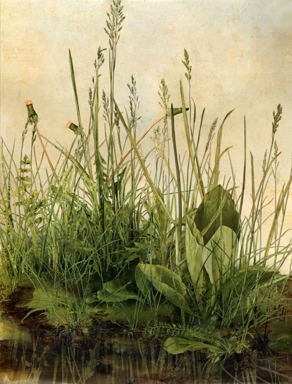 Whispering Weeds, 2011 (Houten frame, rand, LCD-scherm, ventilator en harde schijf) door Mat Collishaw