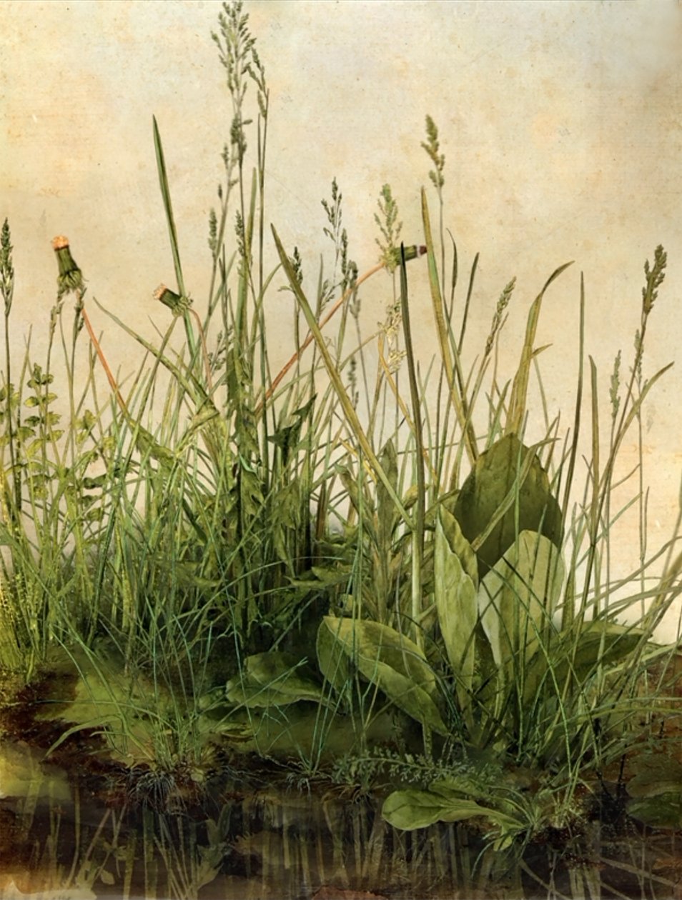 Whispering Weeds, 2011 (Houten frame, rand, LCD-scherm, ventilator en harde schijf) door Mat Collishaw