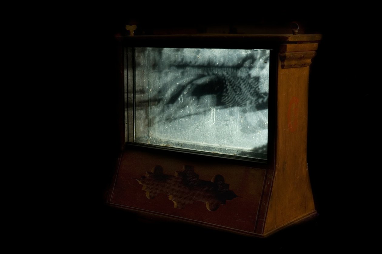 Wormerij, 2009 (Hout, glas, staal, projector en speler) door Mat Collishaw