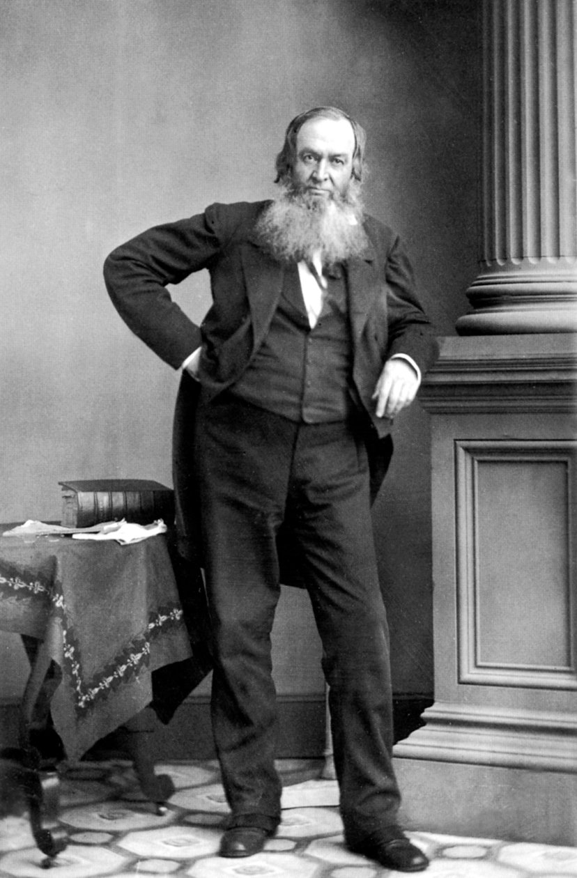 Gerrit Smith: Amerikaanse politicus, New York door Mathew B. Brady