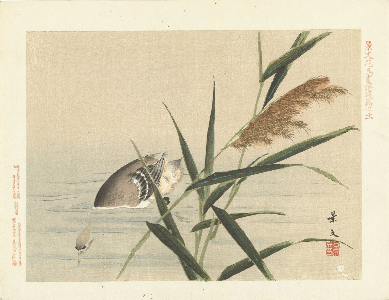 Duikende eend bij riet (serie titel) door Matsumura Keibun