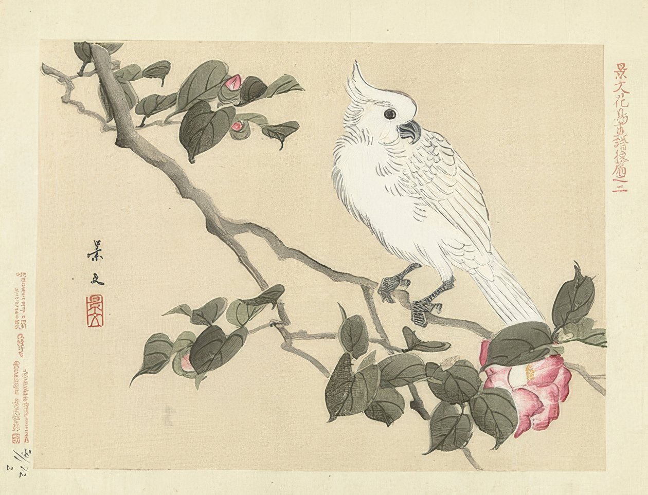 Witte Kaketoe op een Cameliatak door Matsumura Keibun