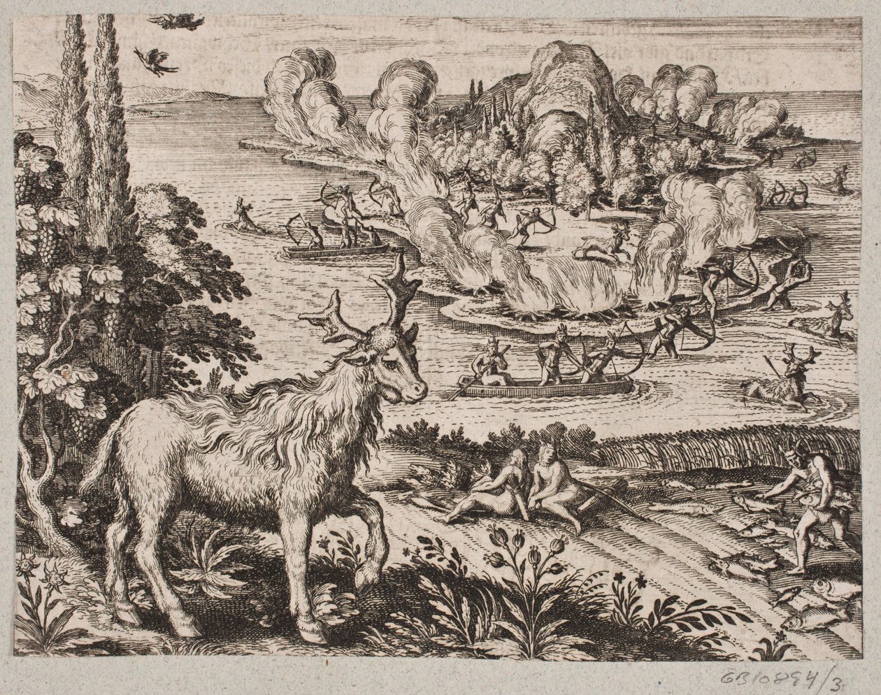 Hier kan ik niet nalaten te denken aan het zeer wonderlijke wezen, dat de inboorlingen Mosse noemen door Matthäus Merian d.Æ.