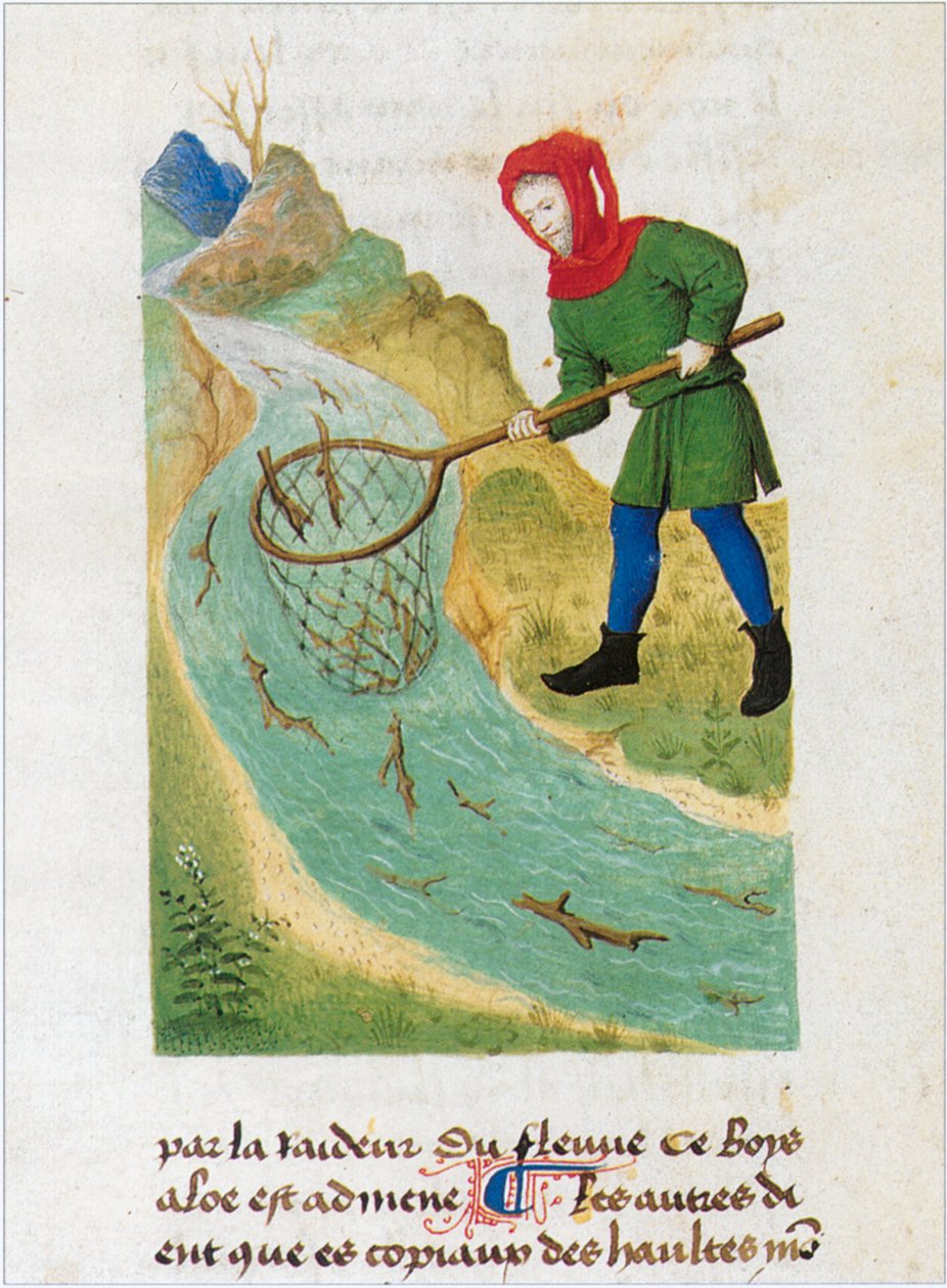 Le Livre des simples medecines - vertaling in het Frans van het 12e-eeuwse Latijnse manuscript van Matthaeus Platearius (perkament) door Matthaeus Platearius