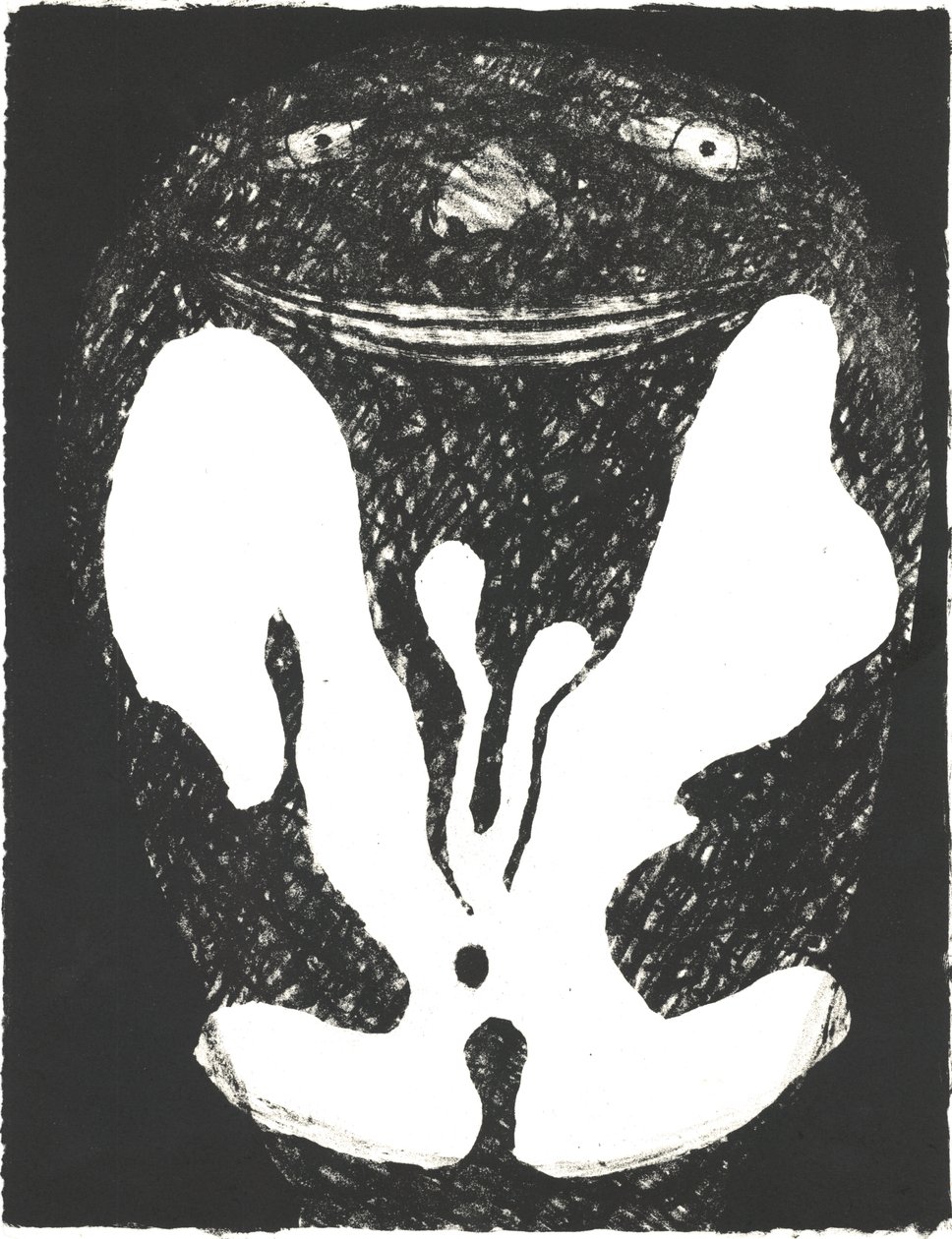 Des Bêtes" Kunstenaarsboek 1, 2018 (litho) door Matthew Hilton