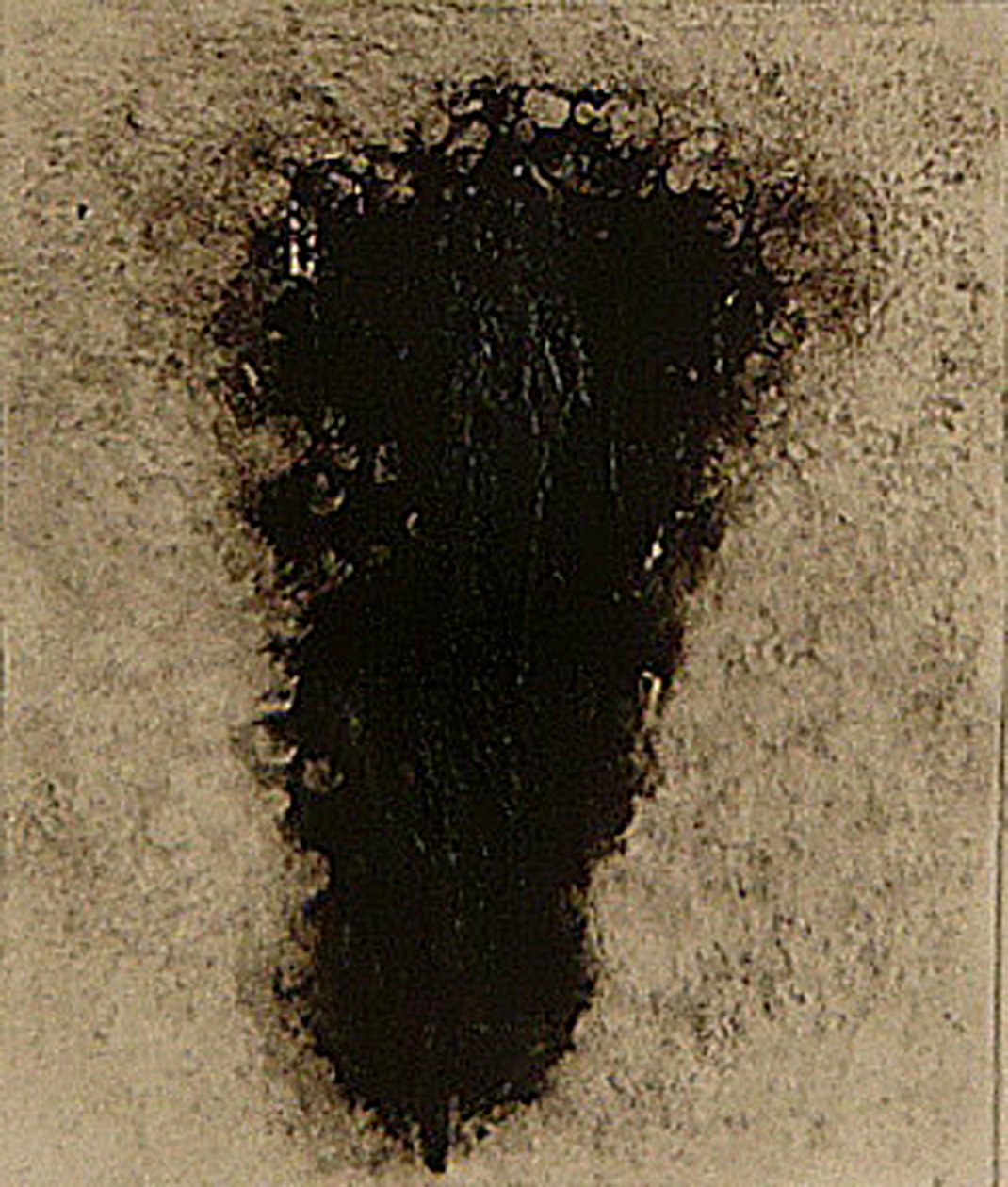 ossie, 2009 (helioprint) door Matthew Hilton