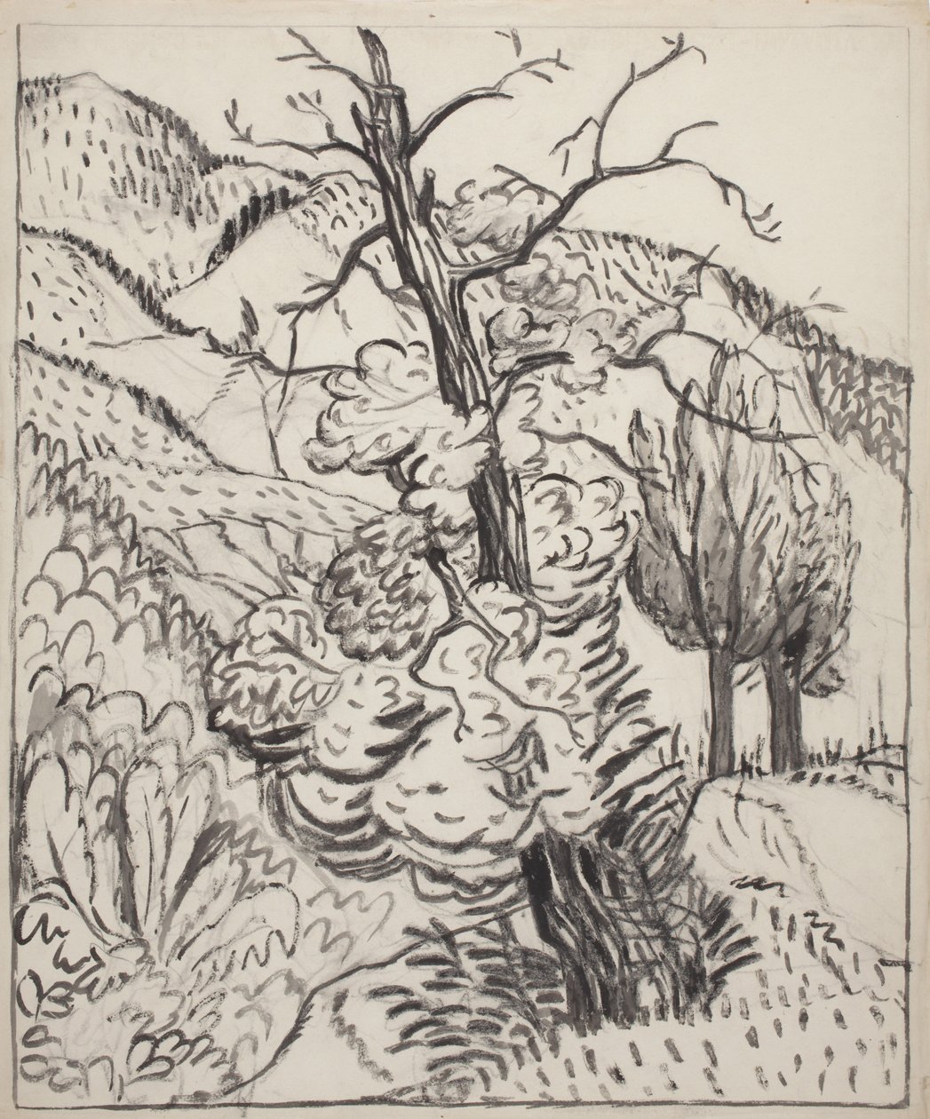 Boom op berghelling, c.1930 (penseel, inkt  houtskool op gebroken wit papier) door Maud Hunt Squire