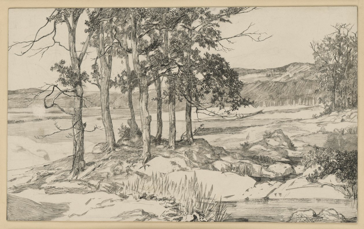Landschap met dennenbos en vijver door Max Klinger