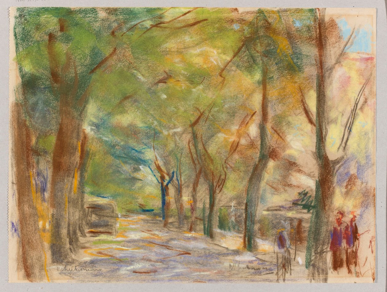 Colomierstraat bij Wannsee door Max Liebermann