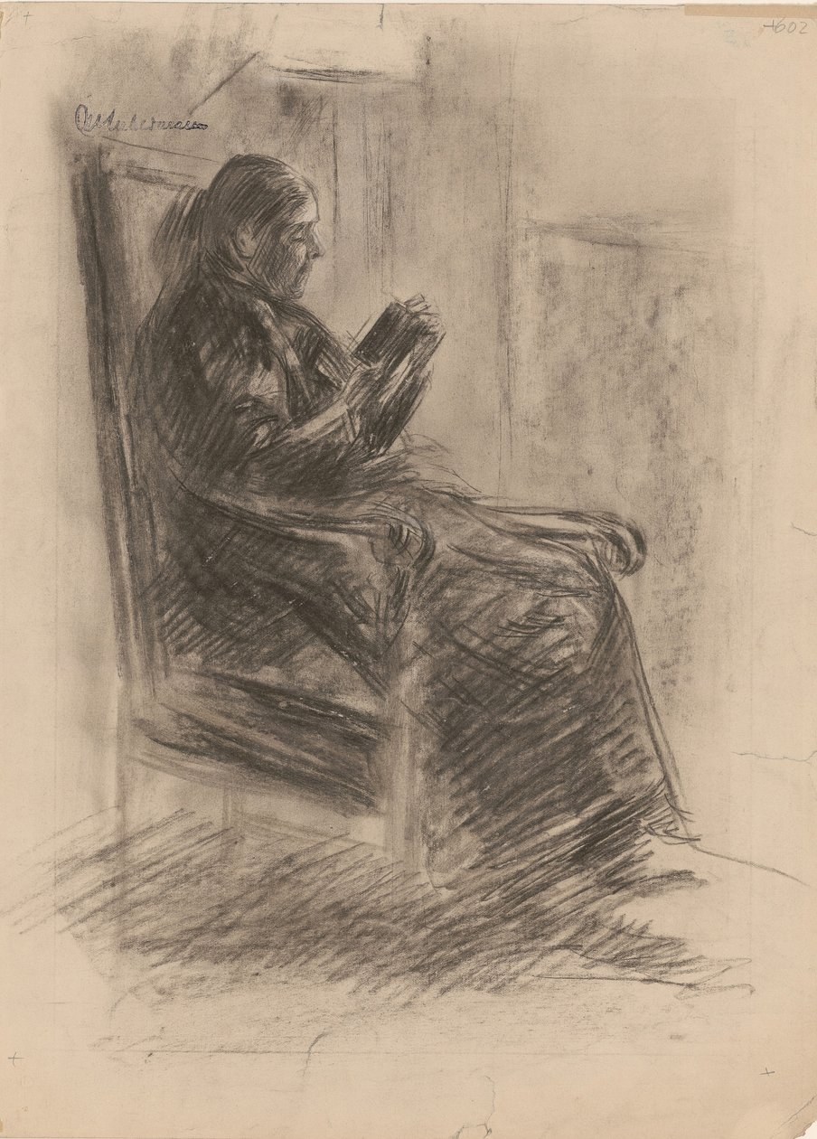 De vrouw van de kunstenaar door Max Liebermann