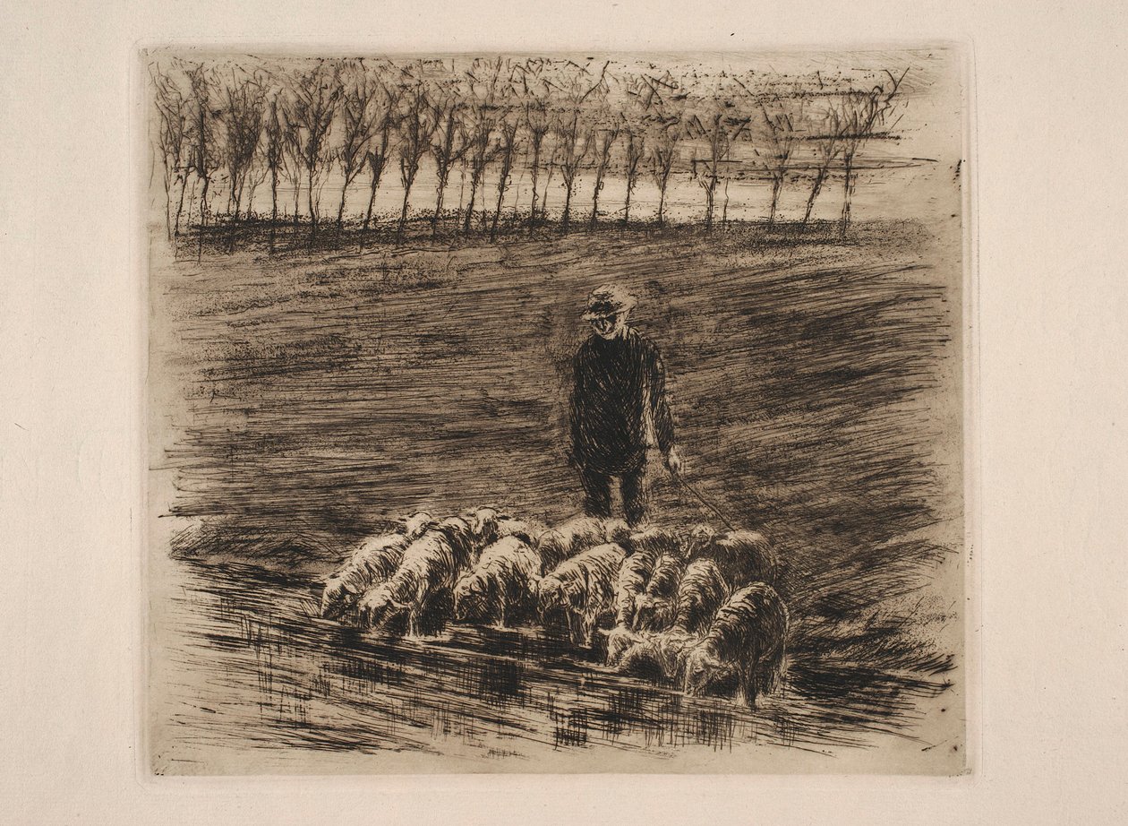 Een kudde schapen bij de drinkplaats door Max Liebermann