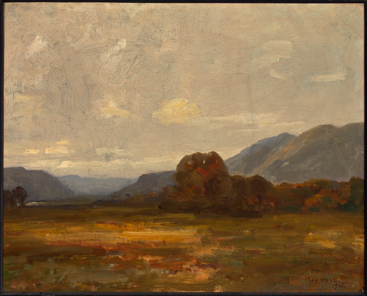 Landschap door Max Weyl