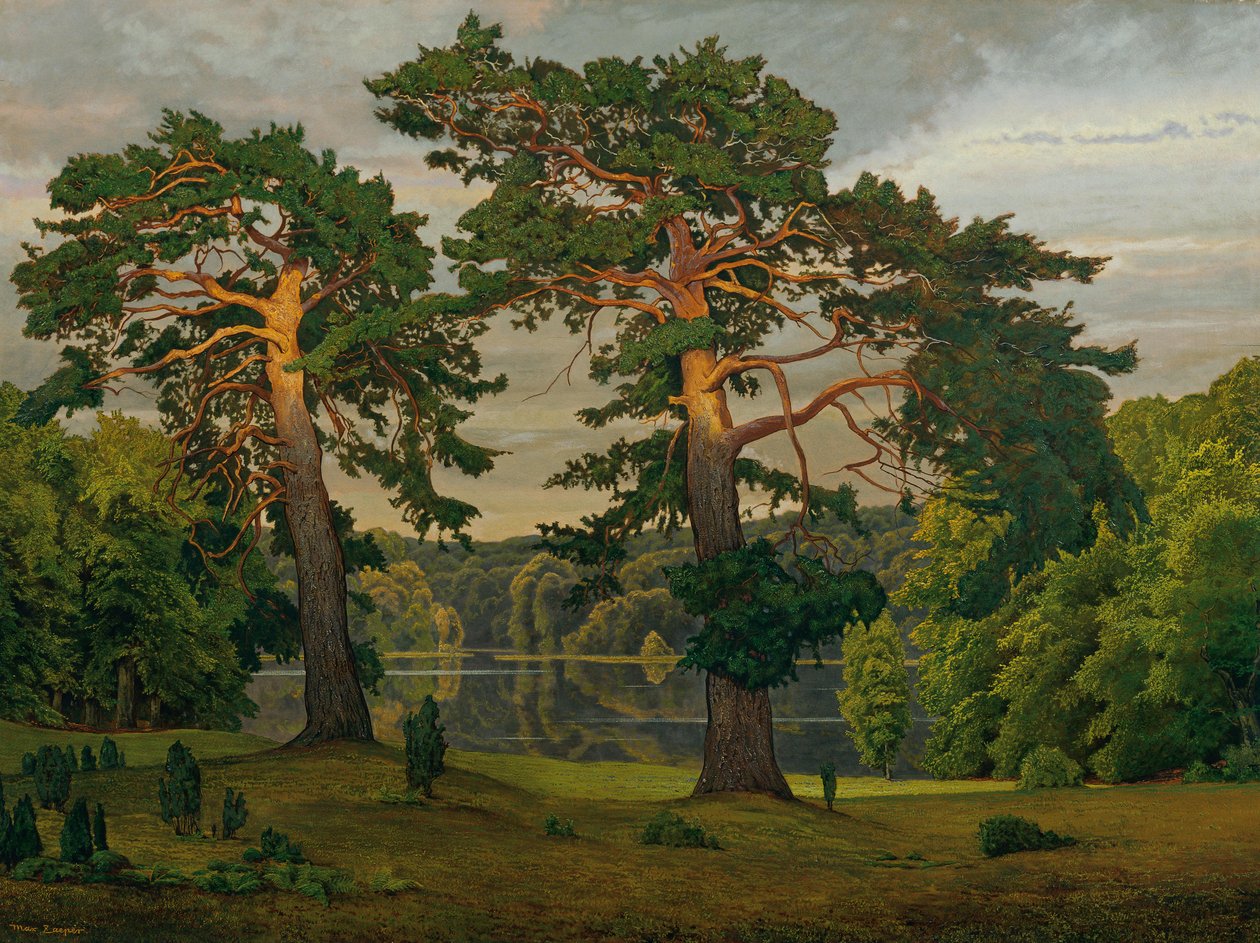 Pijnbomen aan de rand van het bos door Max Zaeper