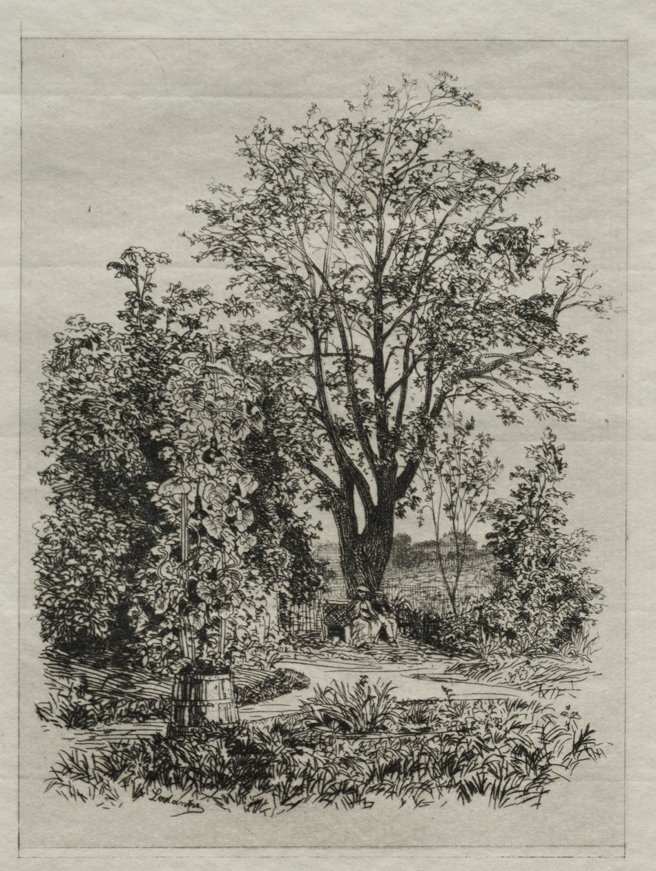Mijn tuin door Maxime Lalanne