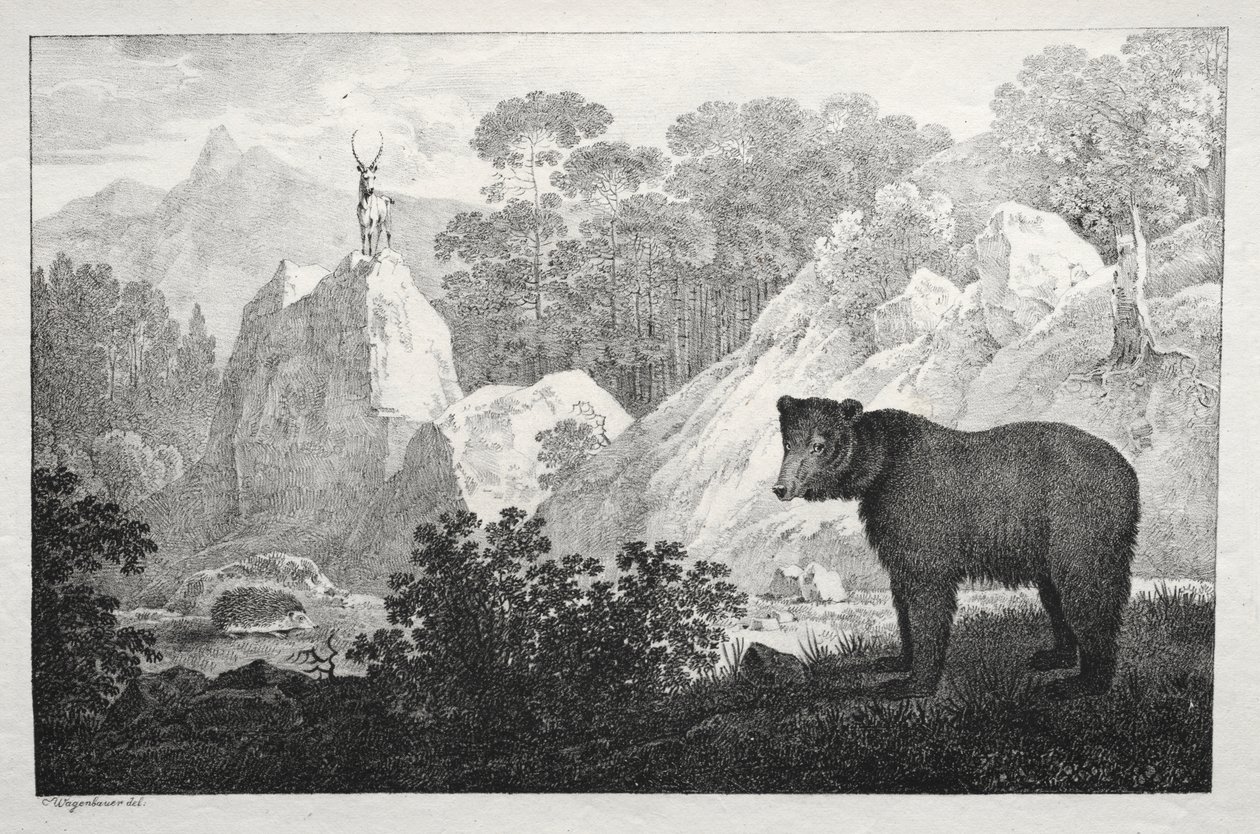 Berglandschap met beer op de voorgrond door Maximilian Josef Wagenbauer