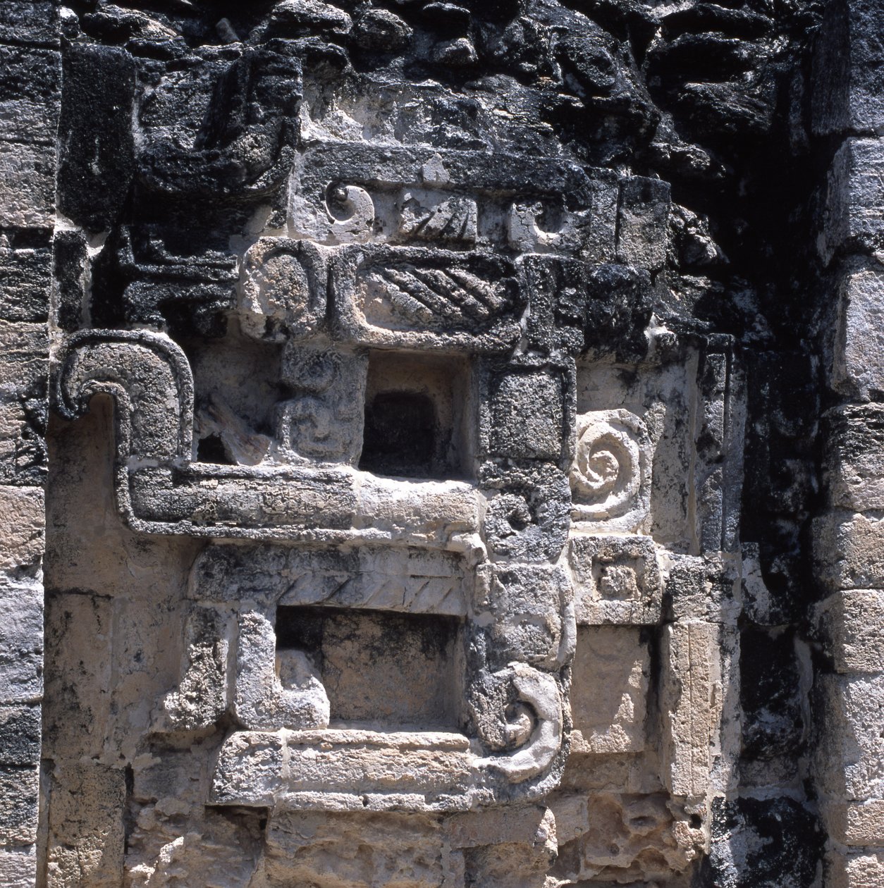 Reliëf van een monster van de aarde, Late Klassieke periode, 600-900 AD door Mayan