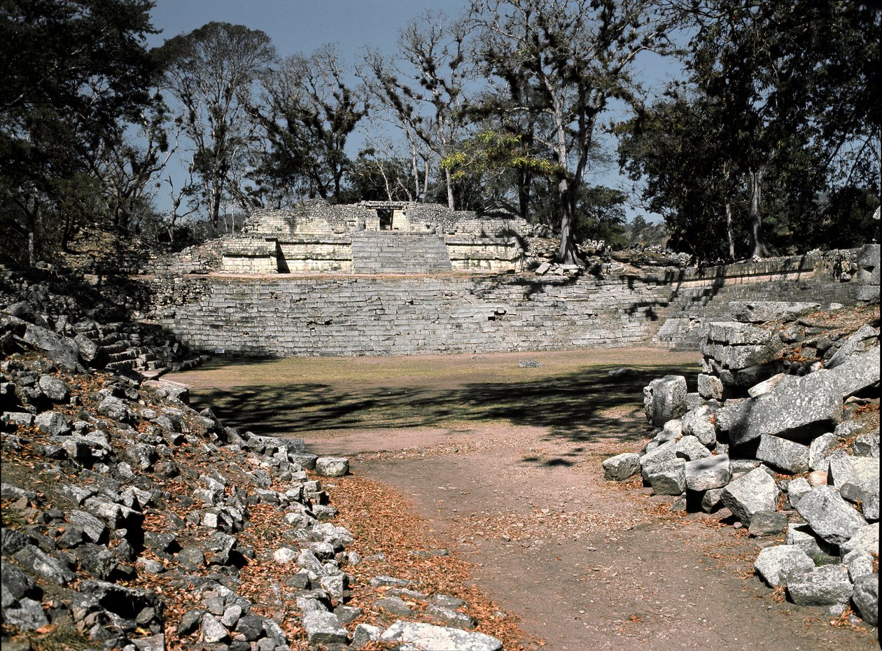 Oostelijke Akropolis Tempel 22, 4e-10e eeuw door Mayan Mayan