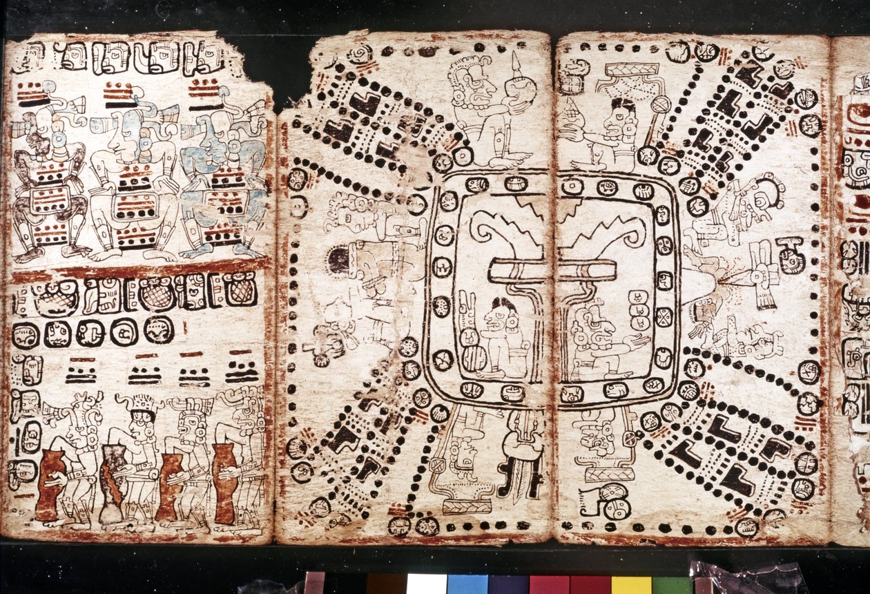 Maya-beschaving: Codex Tro-Cortesiano, midden 15e eeuw door Mayan Mayan