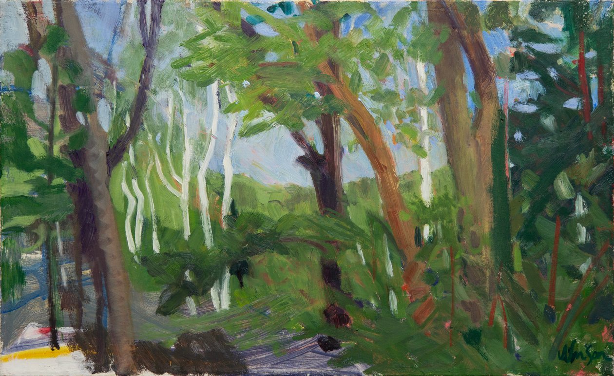 Een berkenstaak, 2016 (olieverf op doek) door Megan Williamson