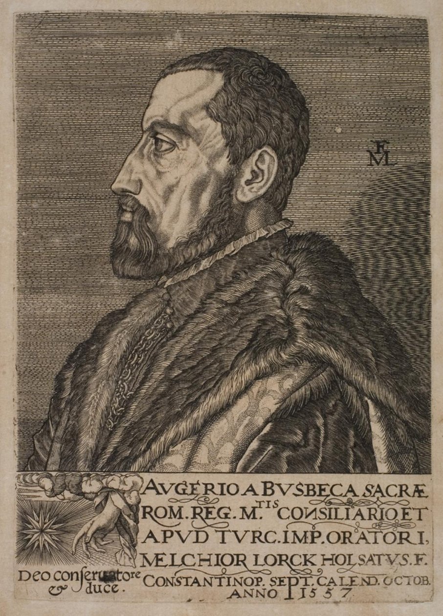 Portret van Ogier Ghiselin de Busbecq, keizerlijk gezant door Melchior Lorck