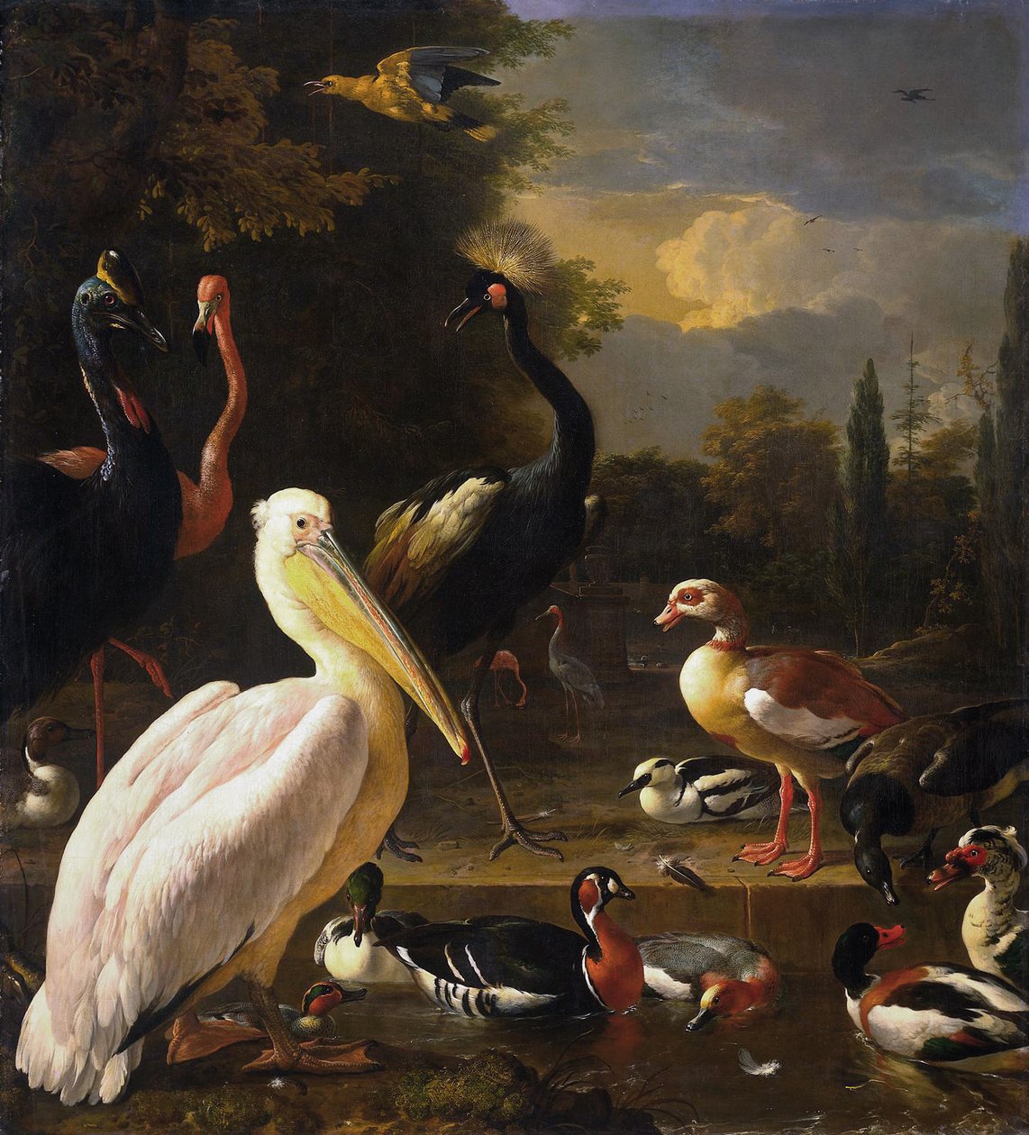 Een pelikaan en andere vogels bij een poel, bekend als 