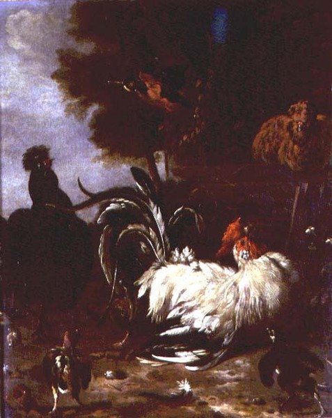 Haan en ander gevogelte in een bosrijk landschap door Melchior de (follower of) Hondecoeter