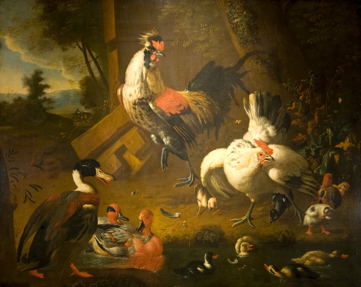 Een haan met een hen en drie eenden door Melchior de (studio of) Hondecoeter