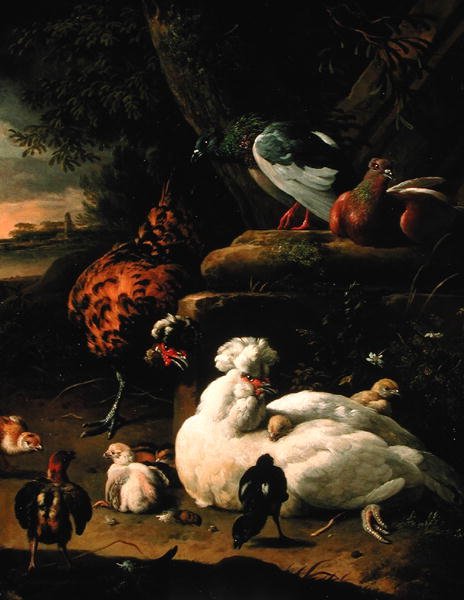 Een hen met kuikens, een haan en duiven in een landschap door Melchior de Hondecoeter