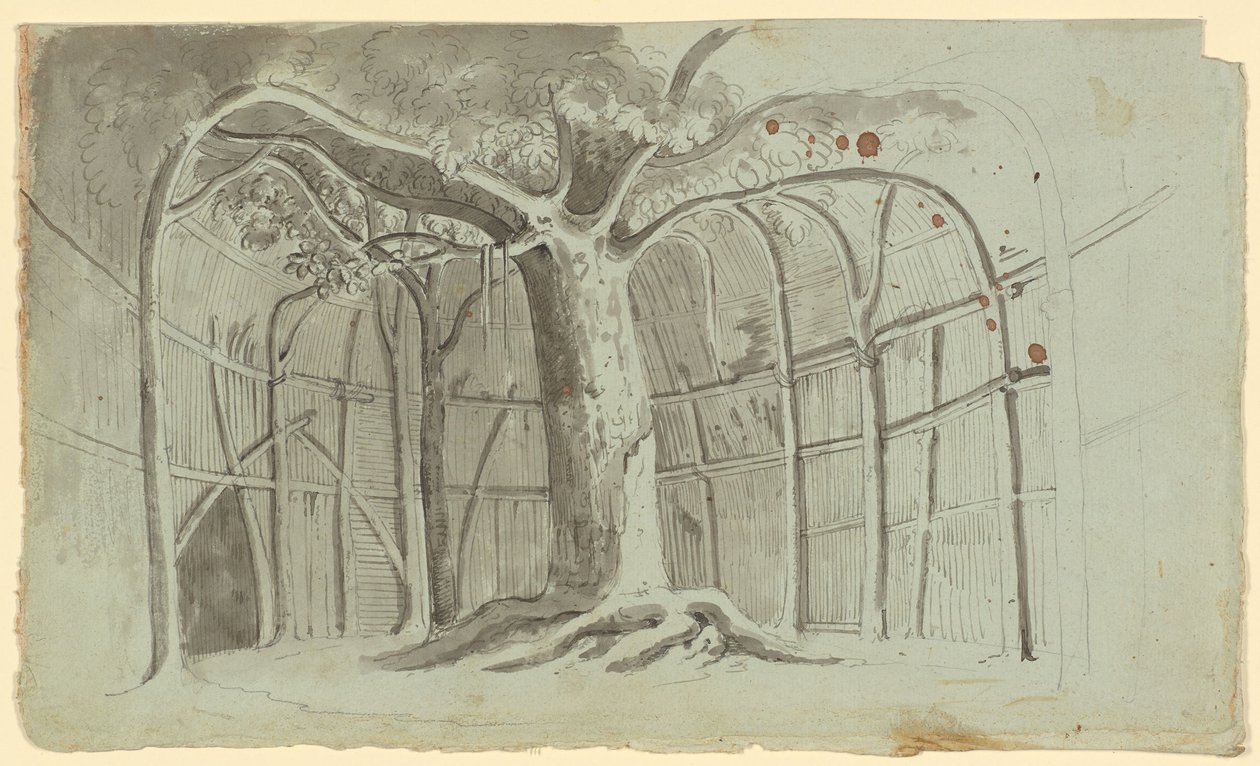 Ruwe Hut rond een Boom door Michael Mayr